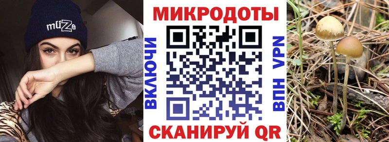 Псилоцибиновые грибы прущие грибы  Могоча 